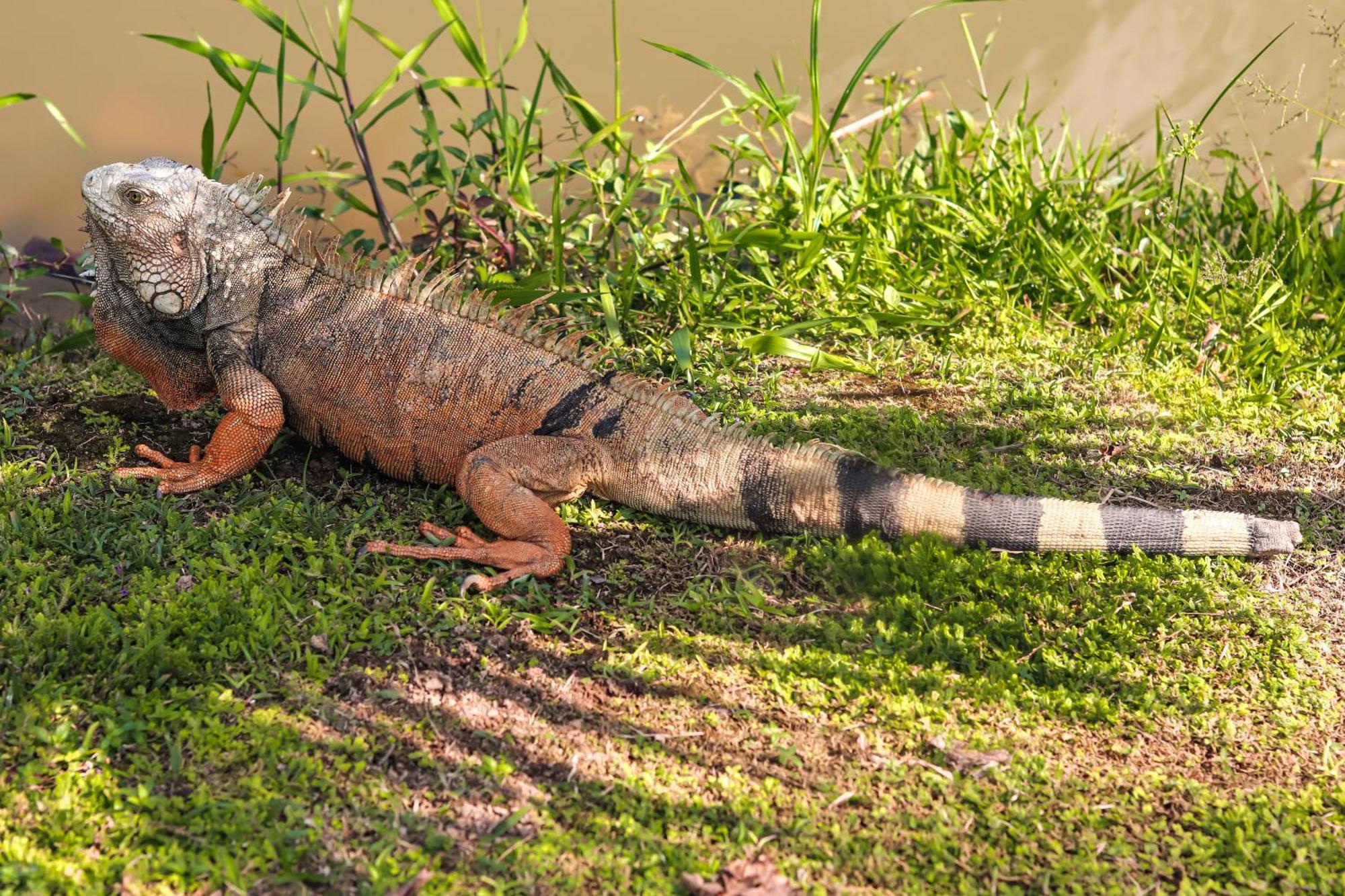 Los Colores Ecoparque Doradal Eksteriør bilde